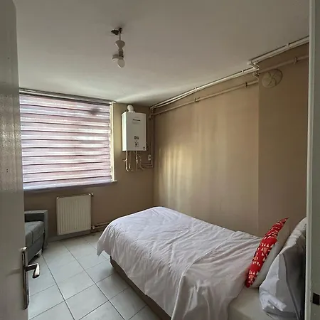 No 19 Elit Pendik *
